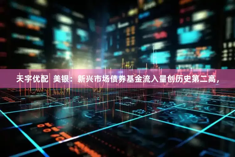 天宇优配  美银：新兴市场债券基金流入量创历史第二高，