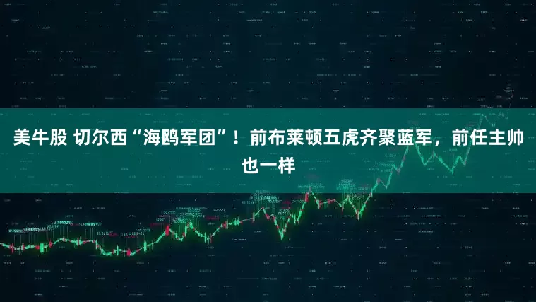 美牛股 切尔西“海鸥军团”！前布莱顿五虎齐聚蓝军，前任主帅也一样